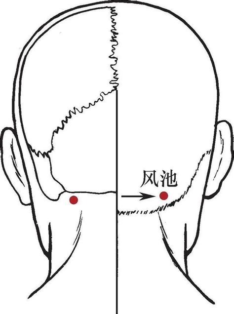 風是穴|風市穴